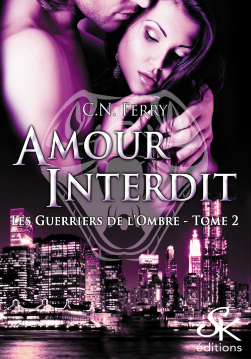 ebook cover of Les guerriers de l'ombre 2, by C.N. Ferry