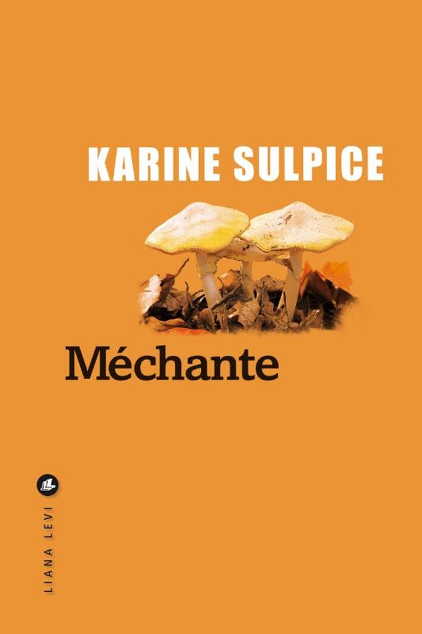 Couverture ebook de Méchante, de Karine Sulpice