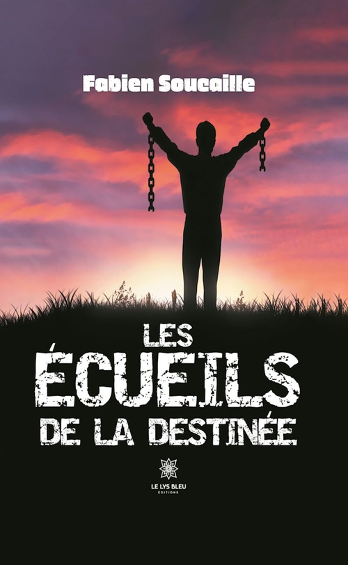 ebook cover of Les écueils de la destinée, by Fabien Soucaille