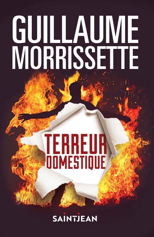 ebook cover of Terreur domestique, n. éd., by Guillaume Morrissette