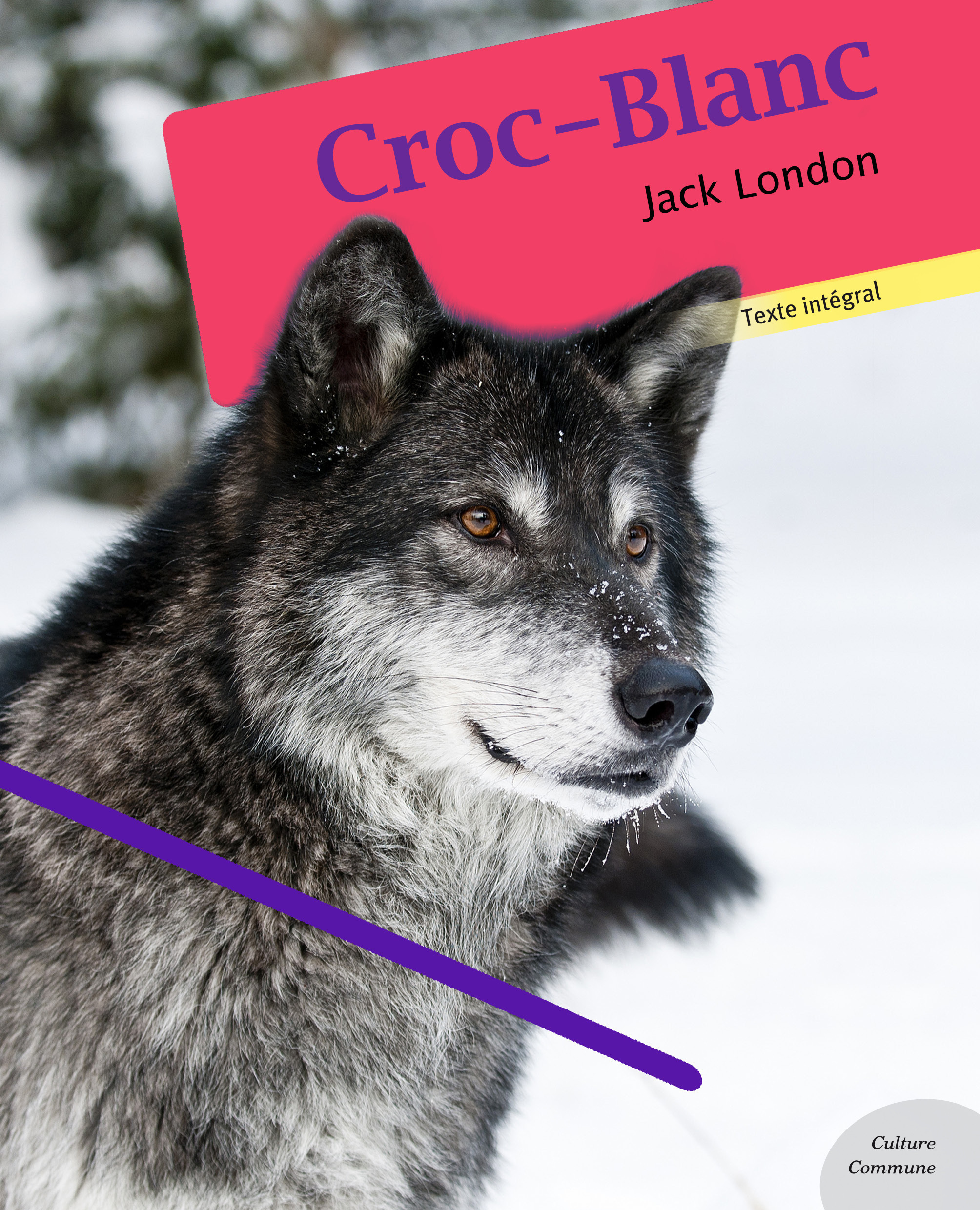 Couverture ebook de Croc-Blanc, de Jack London
