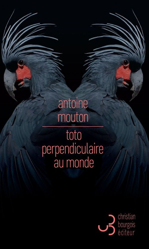 ebook cover of Toto perpendiculaire au monde, by Antoine Mouton