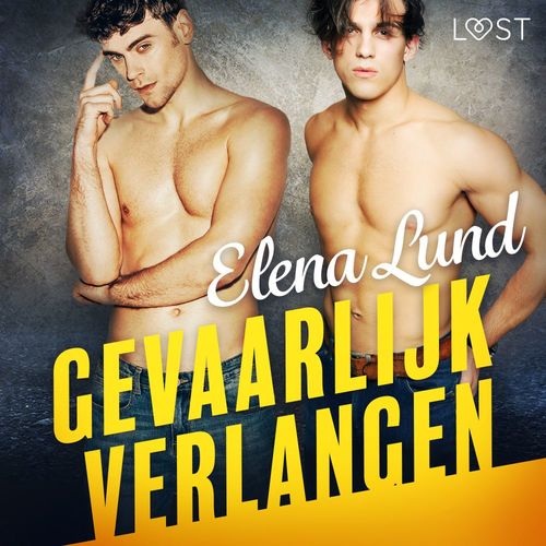 audiobook cover of Gevaarlijk verlangen - erotisch verhaal, by Elena Lund