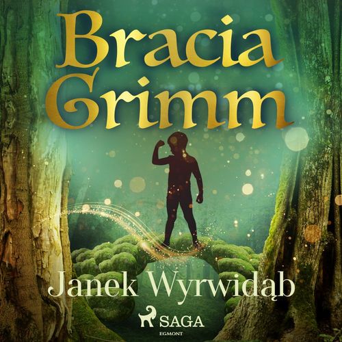 audiobook cover of Janek Wyrwidab, by Bracia Grimm