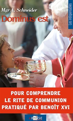 Couverture ebook de Dominus est, de Athanasius Schneider