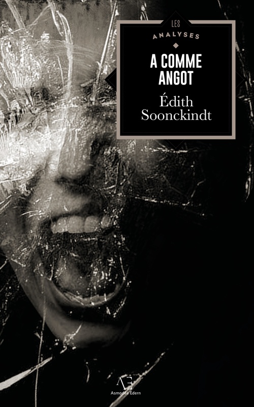 ebook cover of A comme Angot, by Edith Soonckindt