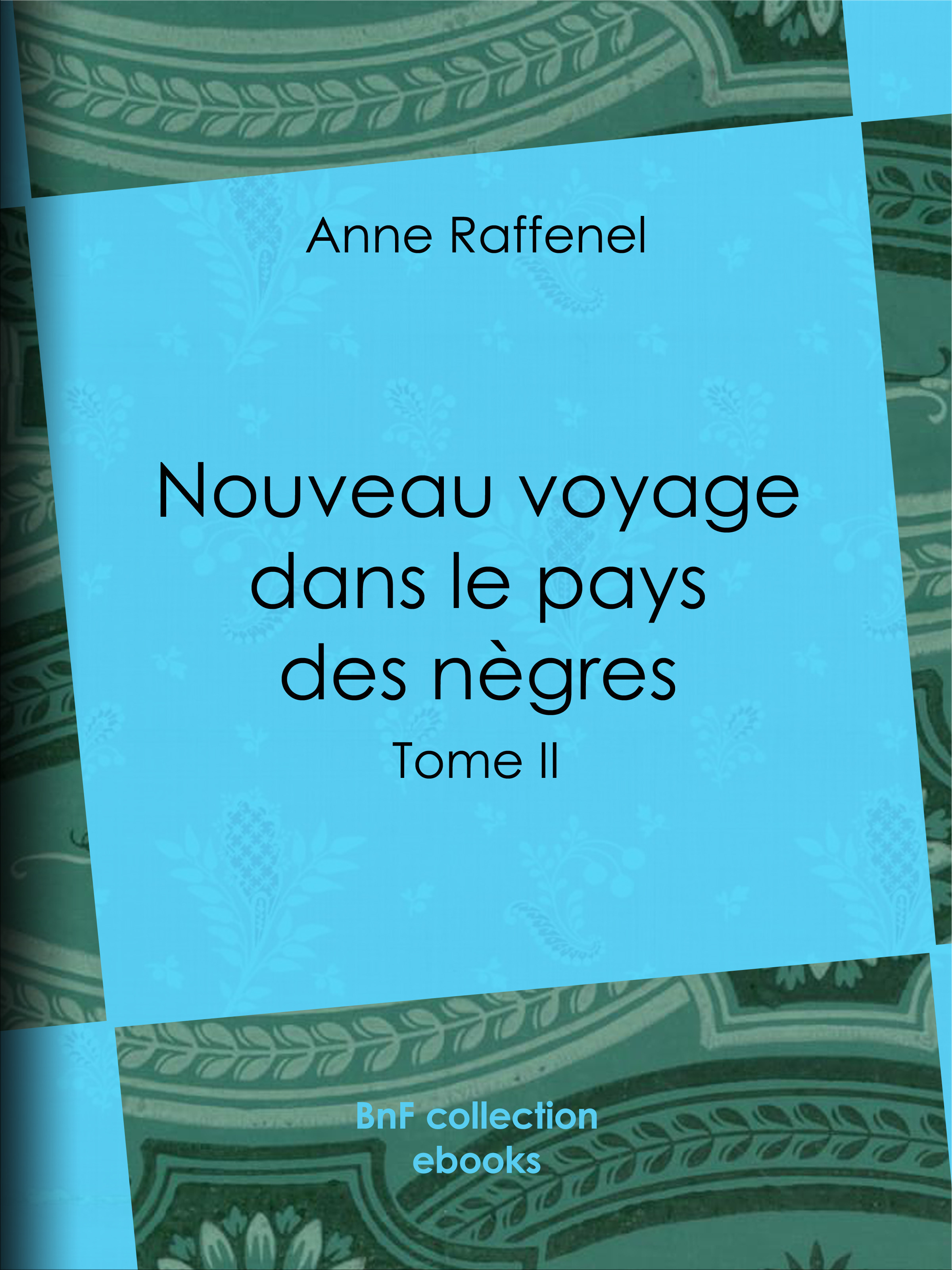 ebook cover of Nouveau voyage dans le pays des nègres, by Anne Raffenel