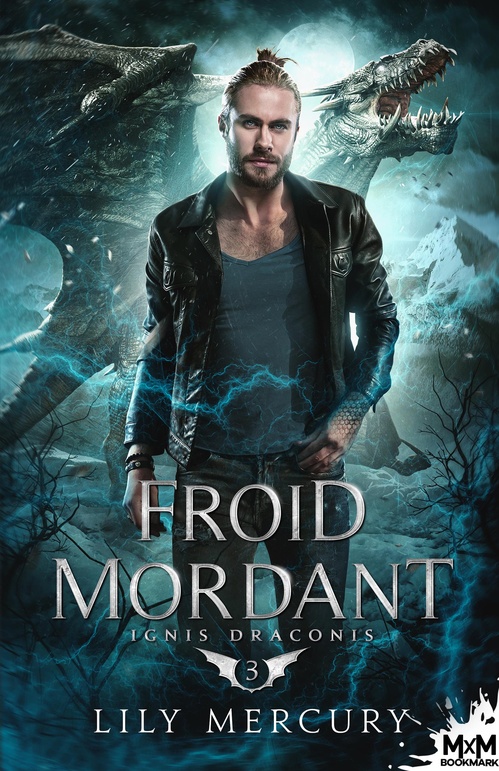 Couverture ebook de Froid mordant, de Lily Mercury