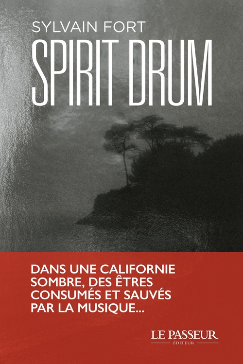 ebook cover of Spirit Drum, by Sylvain Fort