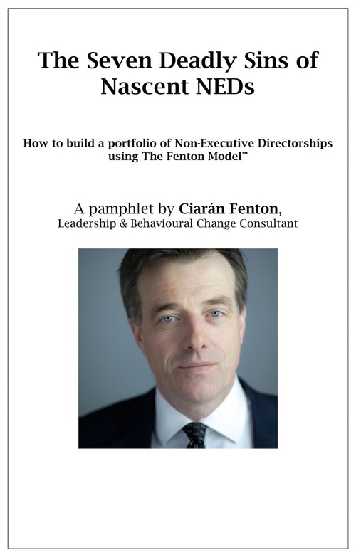 ebook cover of The Seven Deadly Sins of Nascent NEDs: How to build a portfolio of Non-Executive Directorships using The Fenton Model, by Richard Keegan
