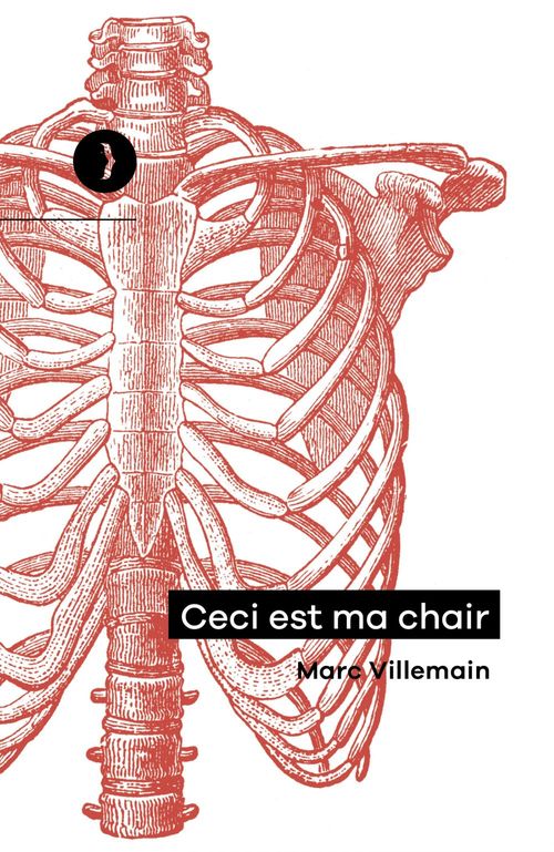 Couverture ebook de Ceci est ma chair, de Marc VILLEMAIN