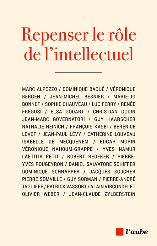 ebook cover of Repenser le rôle de l'intellectuel, by Daniel Salvatore SCHIFFER