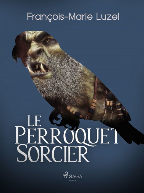 ebook cover of Le Perroquet Sorcier, by Francois-Marie Luzel