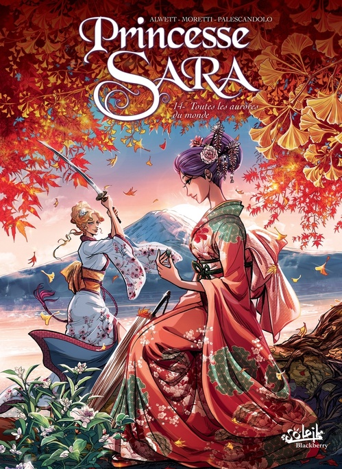 ebook cover of Princesse Sara T14 - Toutes les aurores du monde, by Audrey Alwett