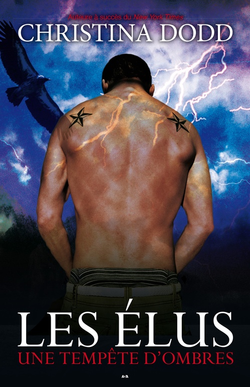 ebook cover of Une tempête d´ombres, by Christina Dodd
