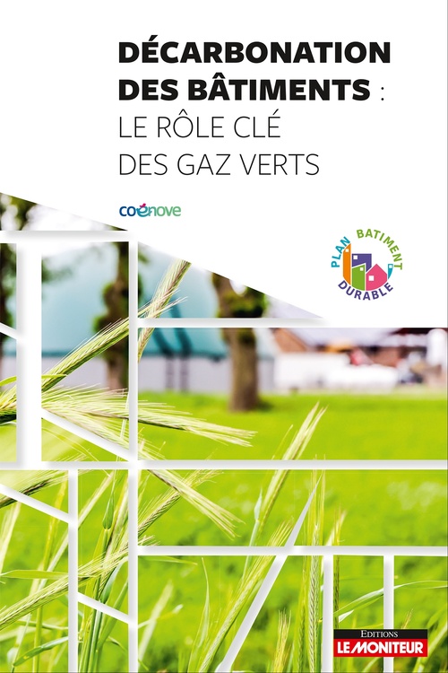ebook cover of Décarbonation des bâtiments : le rôle clé des gaz verts, by COENOVE