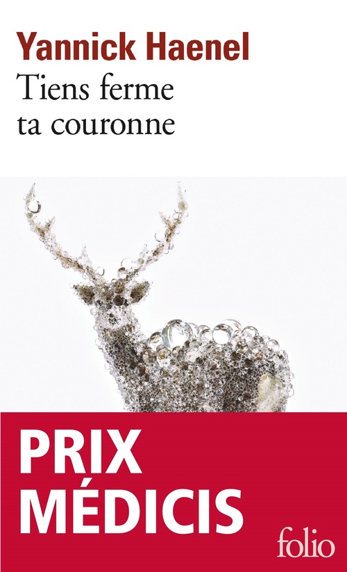 ebook cover of Tiens ferme ta couronne, by Yannick Haenel