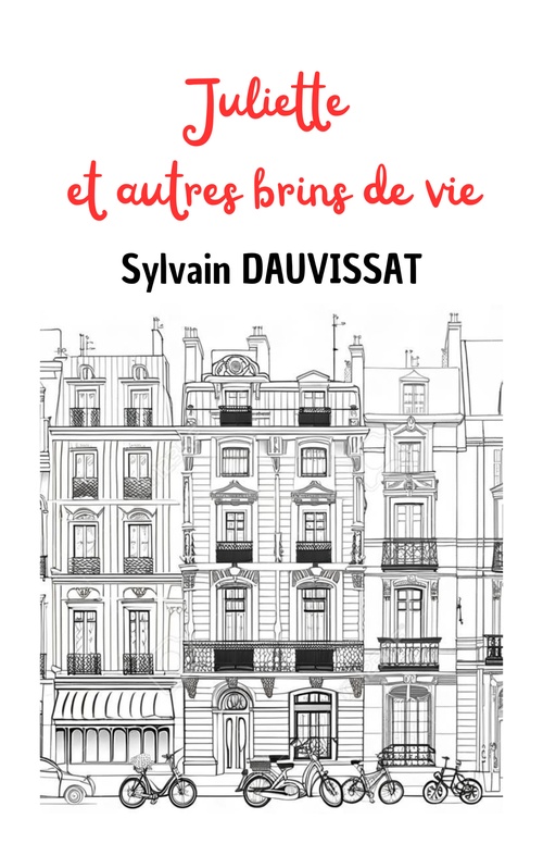 Couverture ebook de Juliette et autres brins de vie, de Sylvain Dauvissat