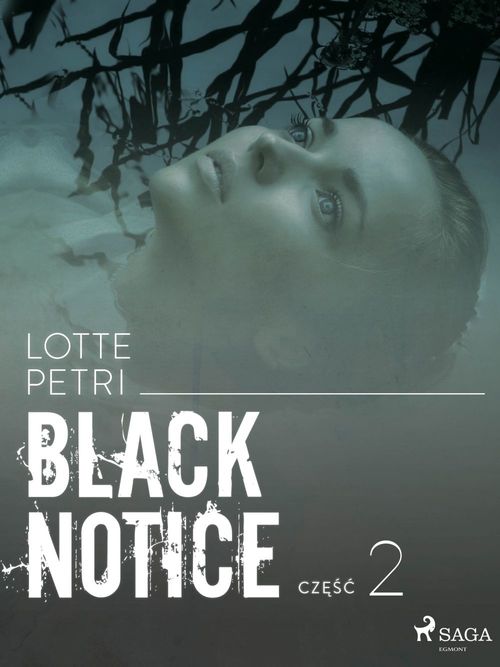 ebook cover of Black notice: cze´s´c 2, by Lotte Petri