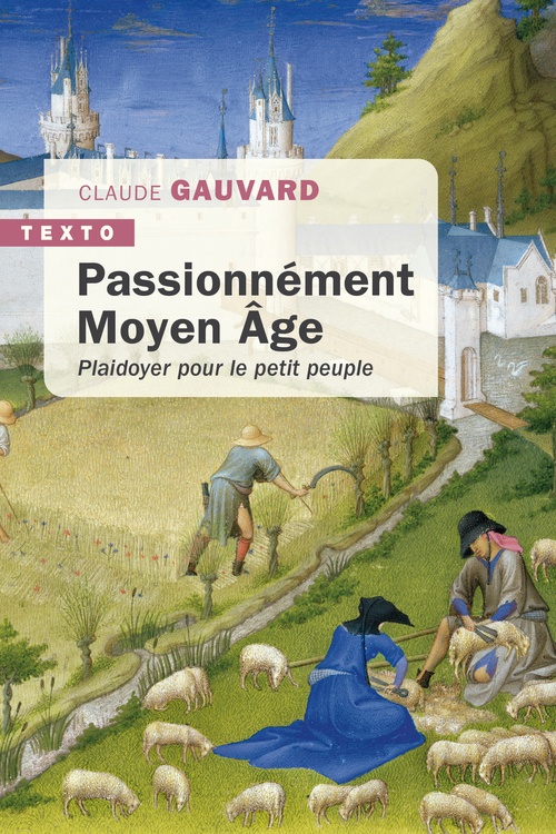 ebook cover of Passionnément Moyen Âge, by Claude Gauvard
