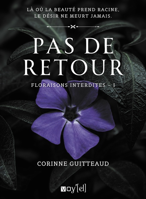 ebook cover of Pas de retour, by Corinne Guitteaud