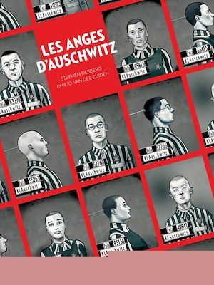 ebook cover of Les Anges d'Auschwitz, by Stephen Desberg, Emilio Van der zuiden